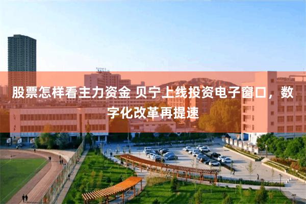 股票怎样看主力资金 贝宁上线投资电子窗口，数字化改革再提速