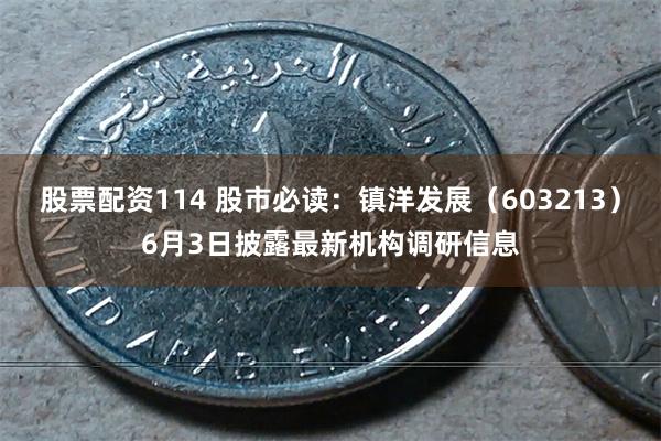 股票配资114 股市必读：镇洋发展（603213）6月3日披露最新机构调研信息