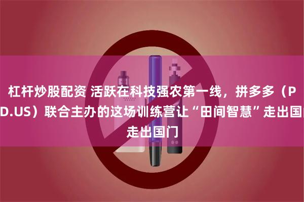 杠杆炒股配资 活跃在科技强农第一线，拼多多（PDD.US）联合主办的这场训练营让“田间智慧”走出国门